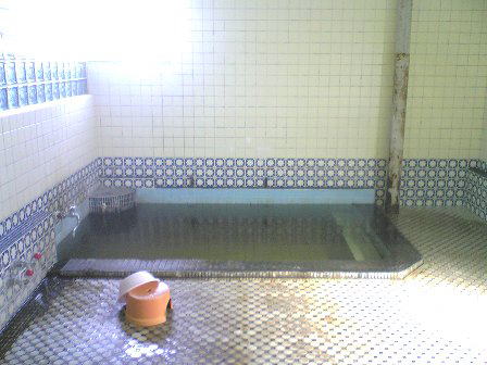 青森県玉勝温泉　別館浴場浴室