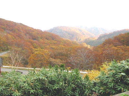 岩手県　石塚旅館　外の眺め