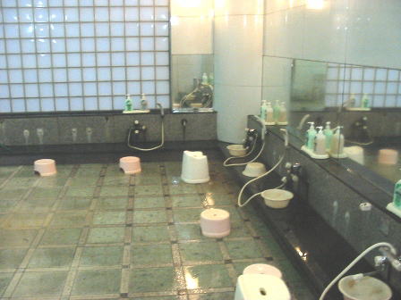 宮城　農民の家　やすらぎの湯浴室内