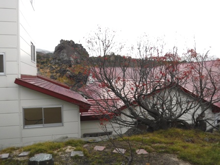 岩手　須川高原温泉旅館　６０５号室からの眺め