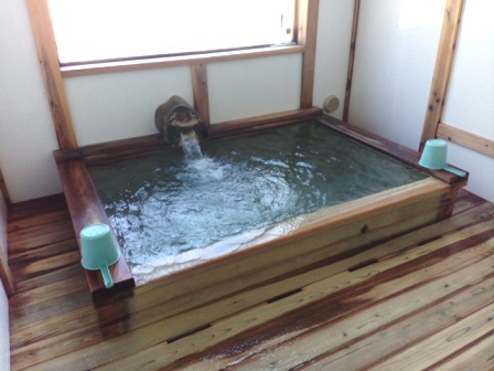 宮城　駒の湯　男性浴室