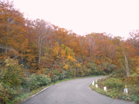 岩手　須川高原温泉旅館　帰路の紅葉