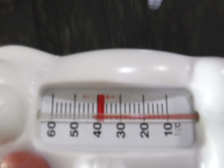 岩手　夏油温泉観光ホテル　４２℃