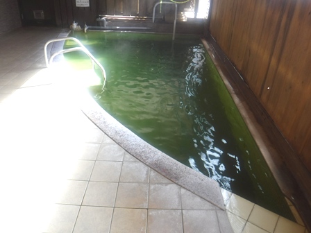 宮城　蛇のゆ湯吉　男性浴室