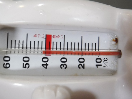 山形　蔵王温泉　白熊