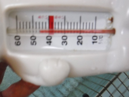 福島　平野屋　白熊