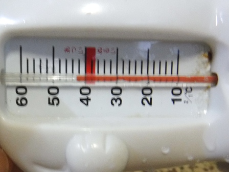 福島　平野屋　白熊