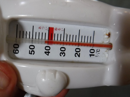 山形　蔵王温泉　白熊