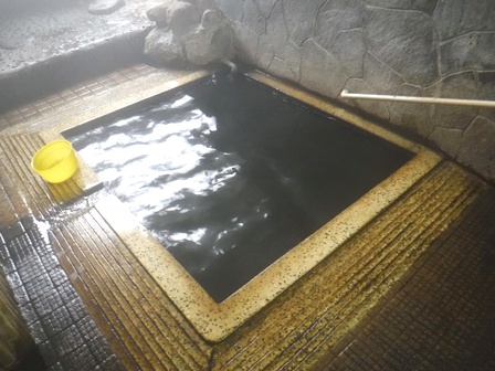 宮城　いさぜん旅館　炭酸泉