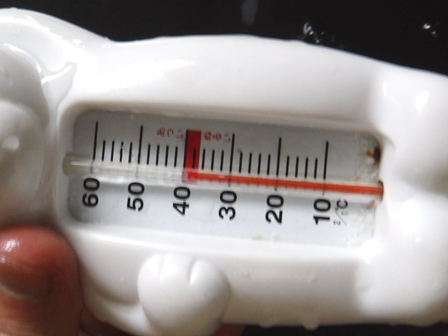 宮城　いさぜん旅館　白熊