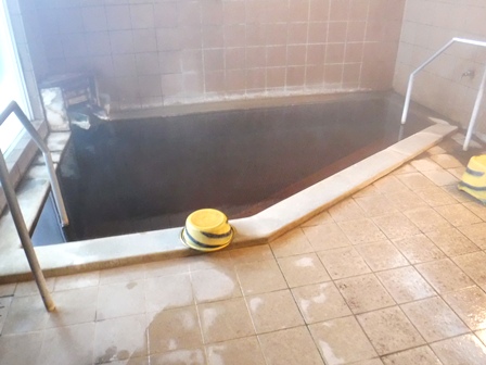 宮城　いさぜん旅館　内湯