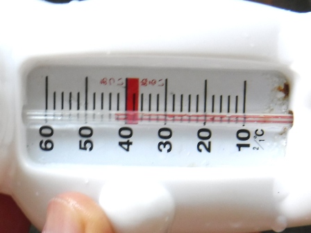 宮城　瀧嶋　白熊