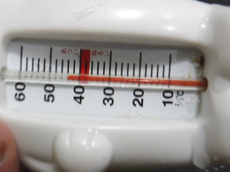 宮城　瀧嶋　白熊